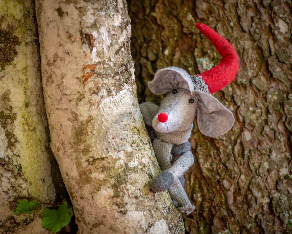 valerie dupertuis 14